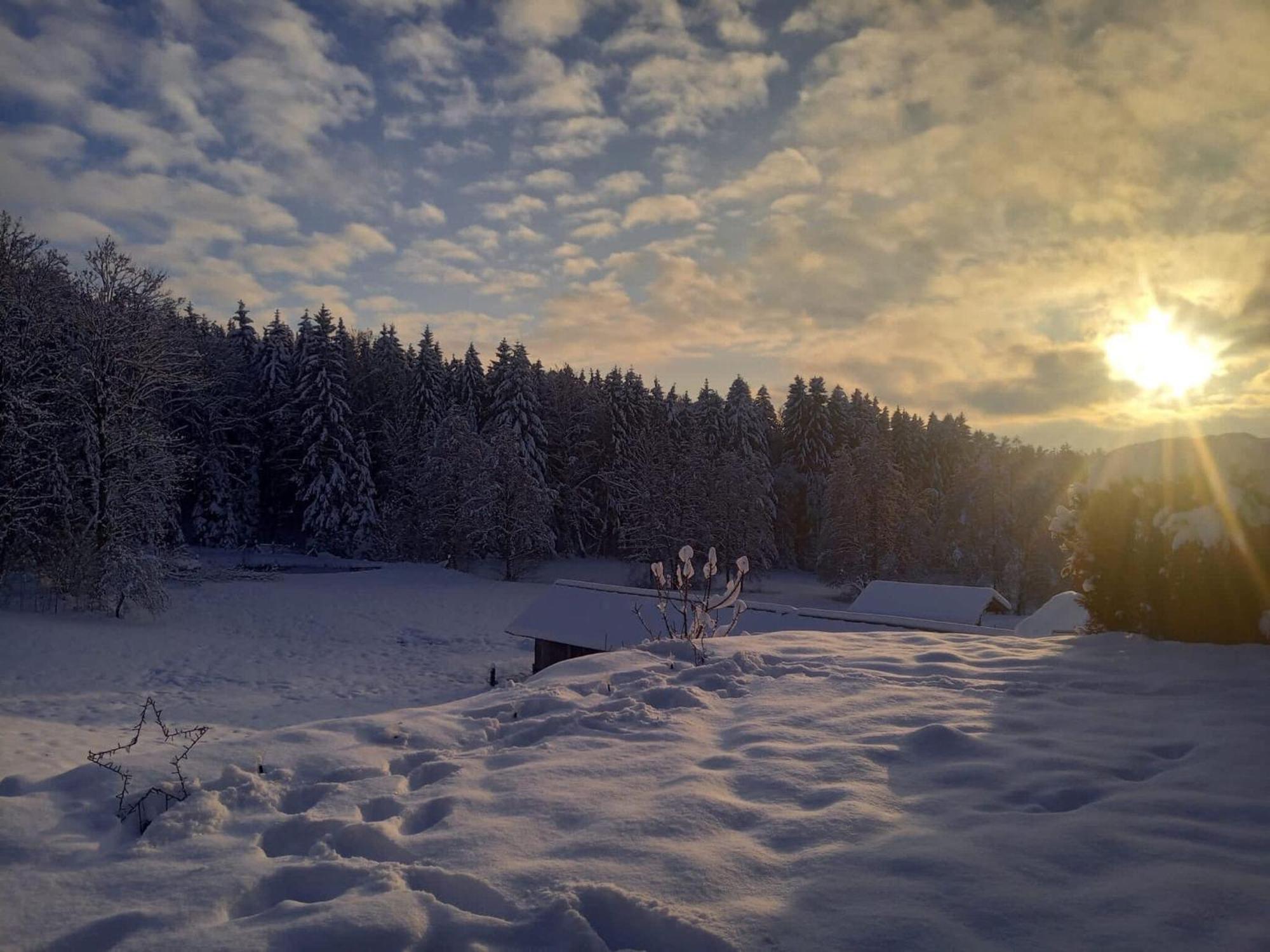 וייכטאך Ferienwohnung Im Bayerischen Wald Mit Terrasse מראה חיצוני תמונה